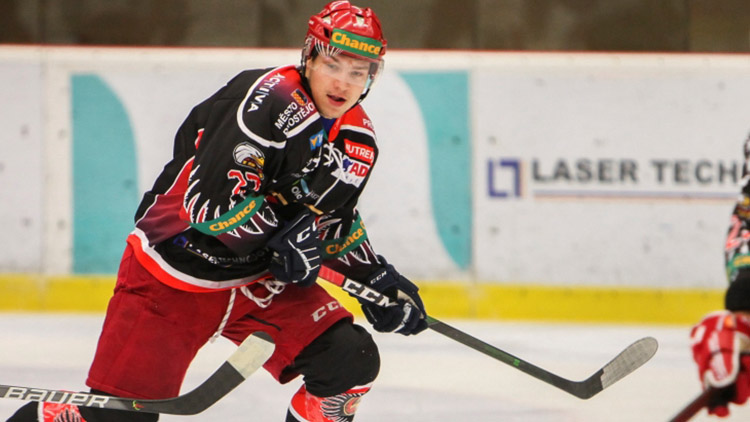 Škatulata začala. Jestřábi sčítají zejména odchody