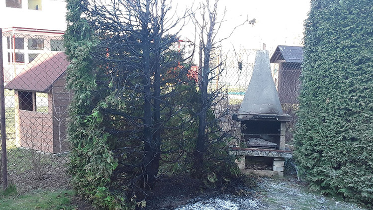 V Prostějově hořely túje