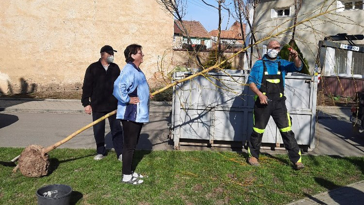 V Němčicích sázelo stromy osm rodin