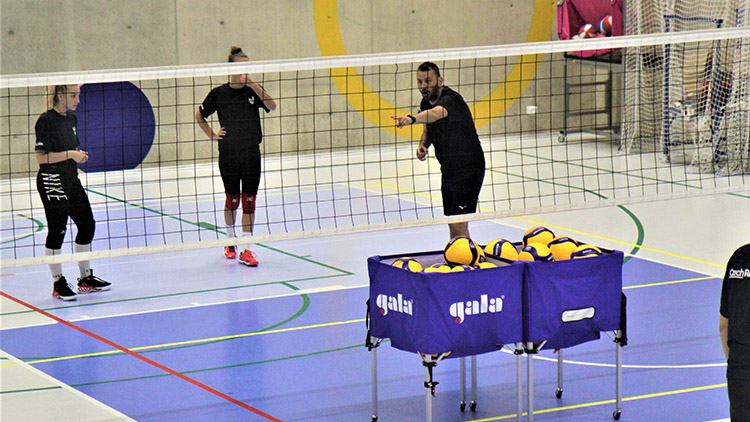 Cipísek v realitě i on-line