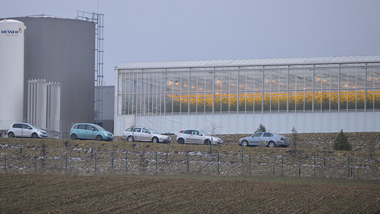 U Smržic vyrůstá už třetí obří skleník na rajčata