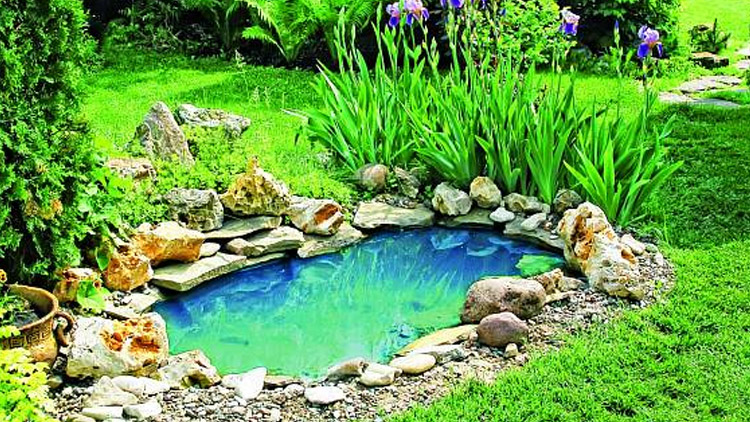 Od května do zahrady