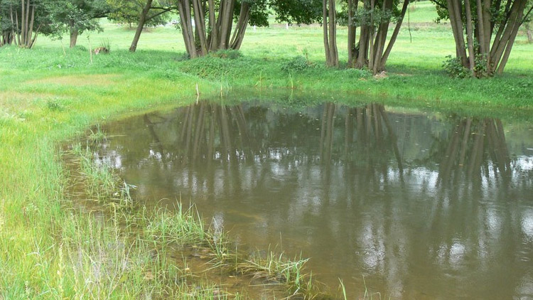 U Vrbátek vznikne pět tůní