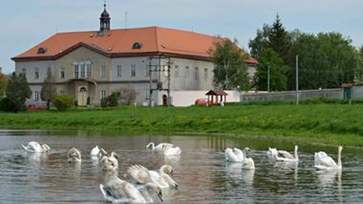 Muzeum se rozroste.Víceměřice chystají velkou investici