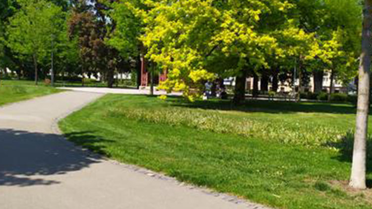 Místo pro rekreaci ve Vrahovicích