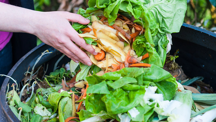 Prostějované požadují častější svoz bioodpadu