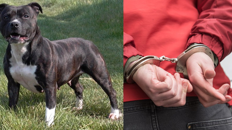 Majitele psa strhli policisté k zemi