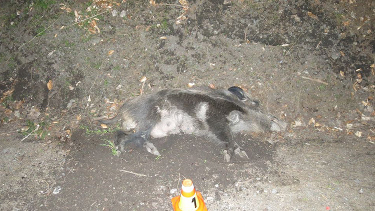 Kanec si běžel pro smrt