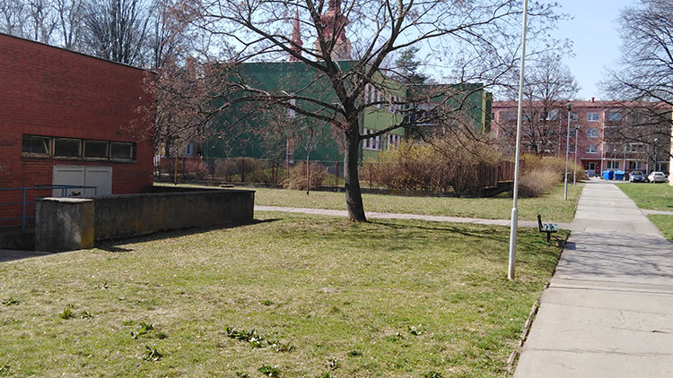 Psí loučka mezi Tylovou ulicí a Libušinkou?