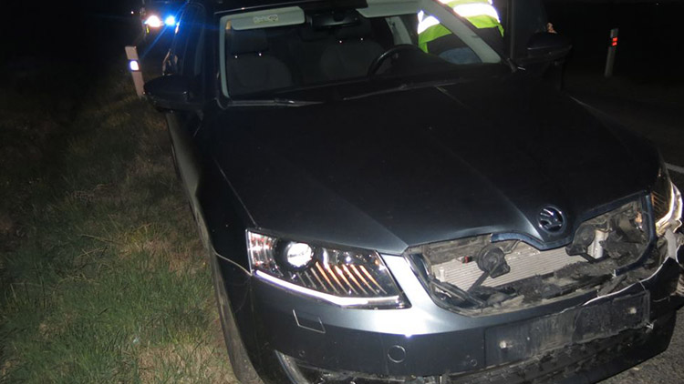 Srnu srazil a zabil,  na autě má stotisícovou škodu