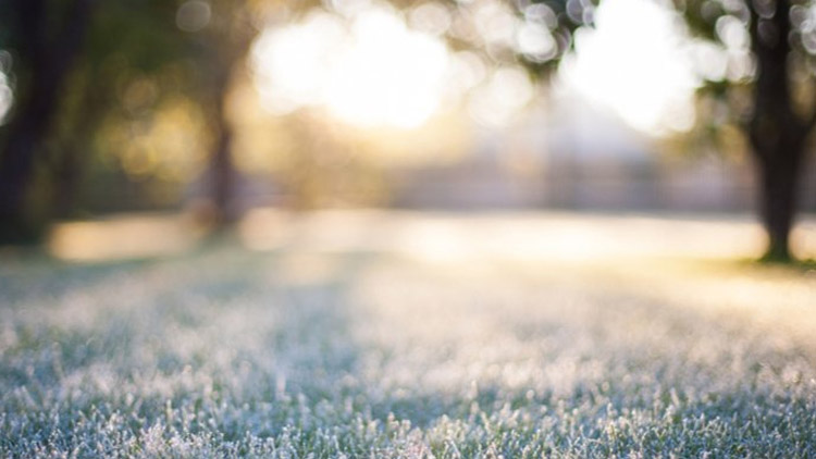 Ledoví muži? Bez obav...