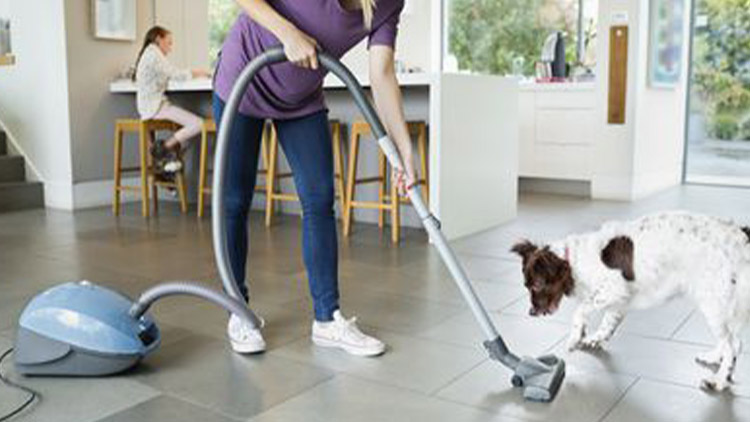 Jak udržet čistý domov, když v něm žijí zvířata?