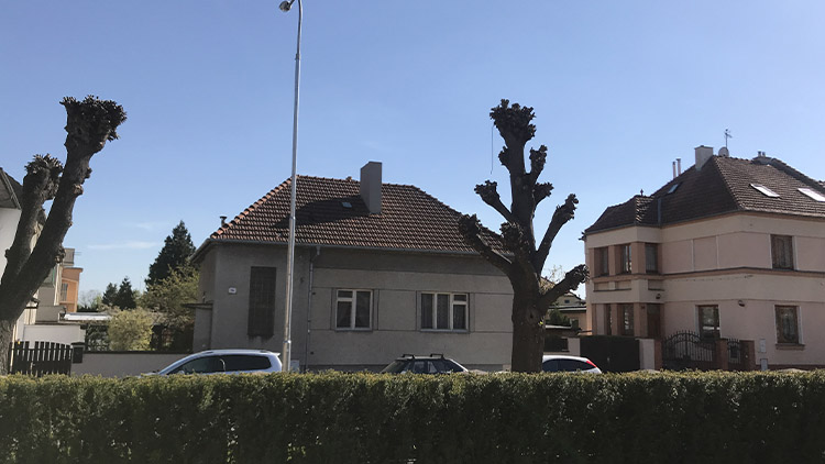 V ulici Dr. Horáka zůstávají stromy „pod napětím“