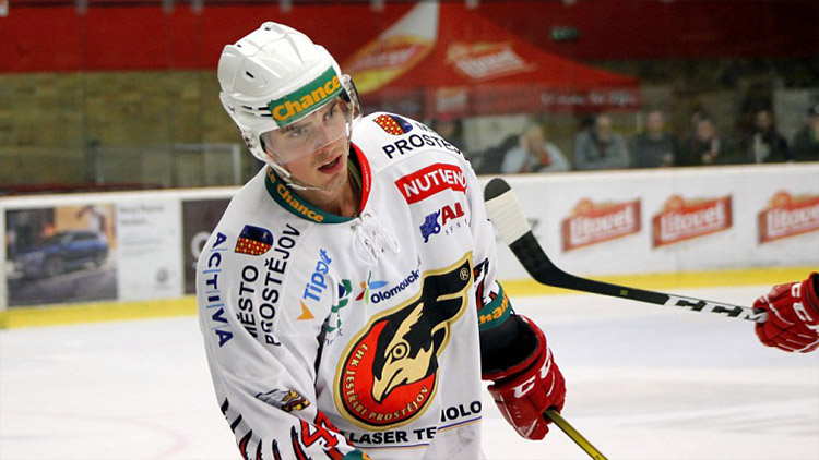 Z Jestřábů se stali Zubři!