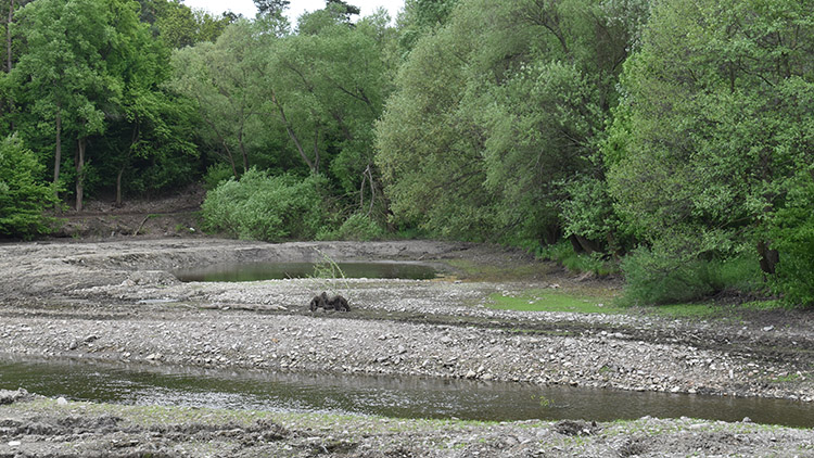 Přehrada zůstává „na suchu“, Povodí mlčí 