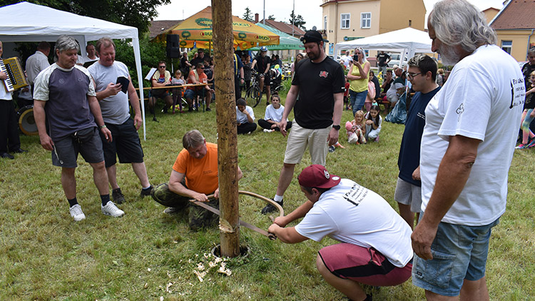 Asi nejstarší májku světa pokáceli v Drozdovicích, ale...