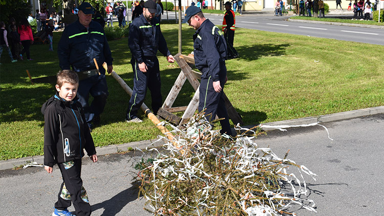 Májku ve Smržicích káceli hodně zvesela