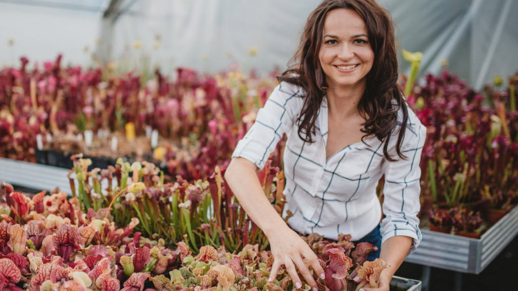 Soutěž o vstupenky na Floru – Živé pasti