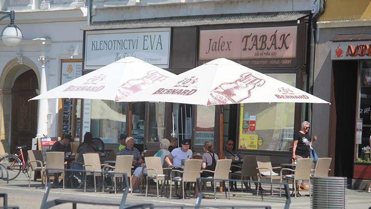 Zahrádky znovu ožily. Tedy většina