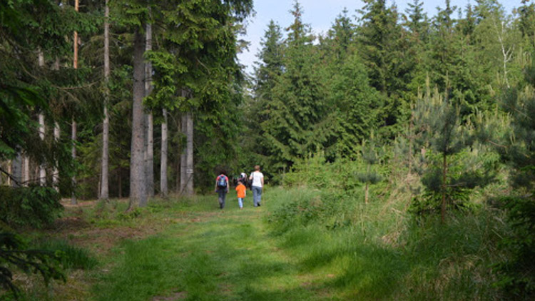 Pochod Mánesovou stezkou