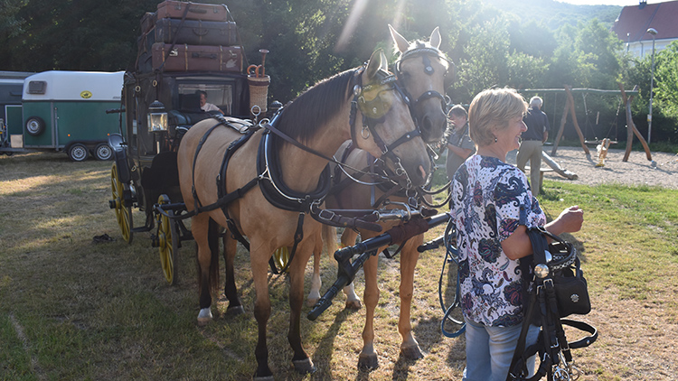 Zapřaháme, vyrážíme!