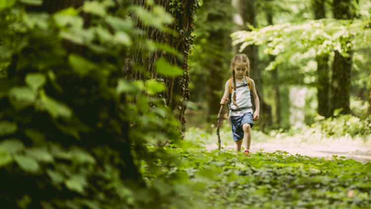 Lesní koupel vám může zachránit život 