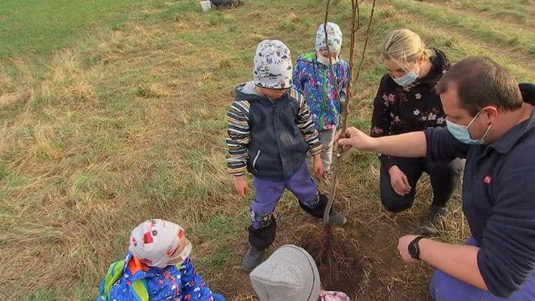 V Němčicích zasadili skoro 7 tisíc stromů