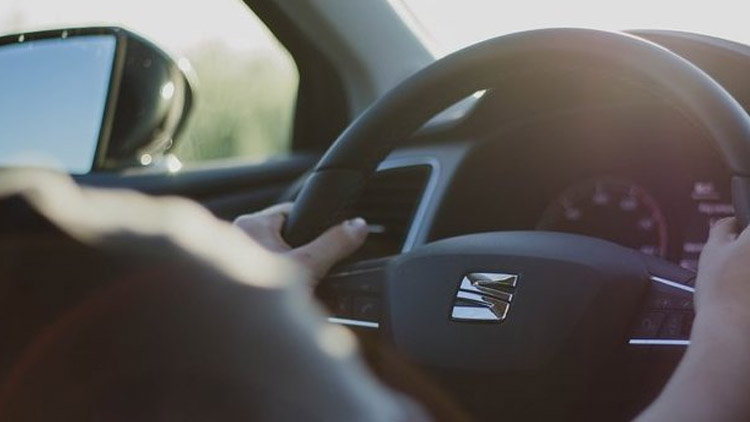 Šofér vyháněl vosu a havaroval