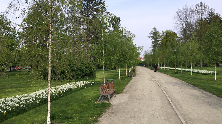 Odvodnění Kolářových sadů projde úpravami