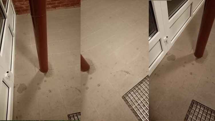 VÝKALY NA „PUJMANCE“! Zdejší obyvatele dráždí neuklizené chodby