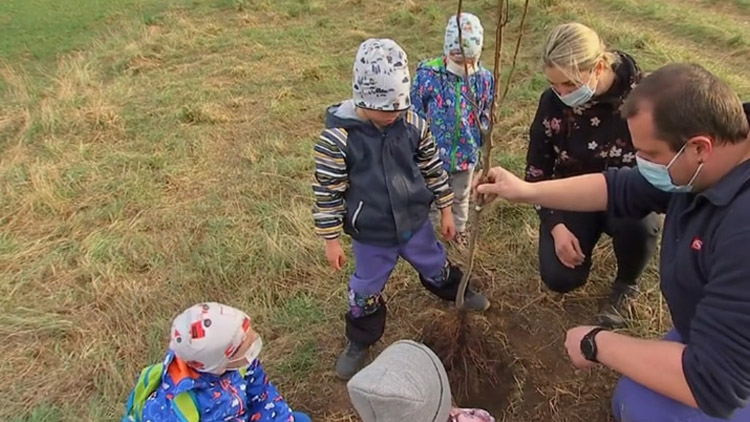 Zasadili skoro 7 tisíc stromů