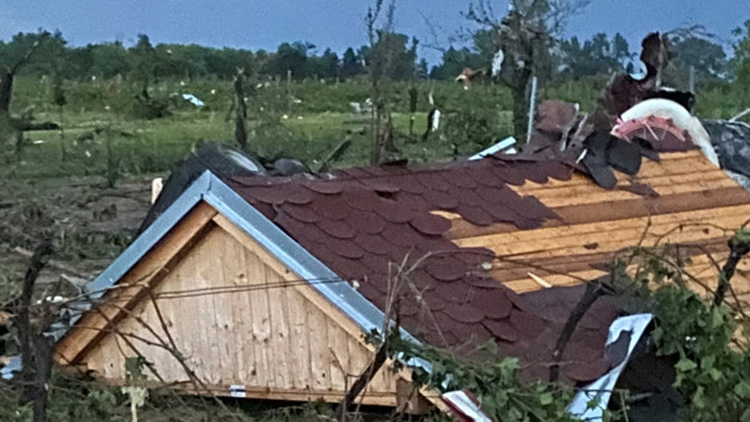 Prostějovská firma vymyslela web na pomoc vinařům. Zapojíte se?