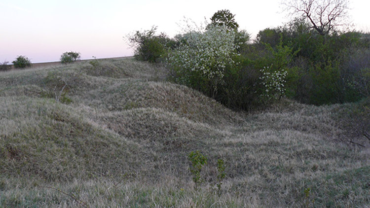 Cyklisté dál ničí přírodní památku