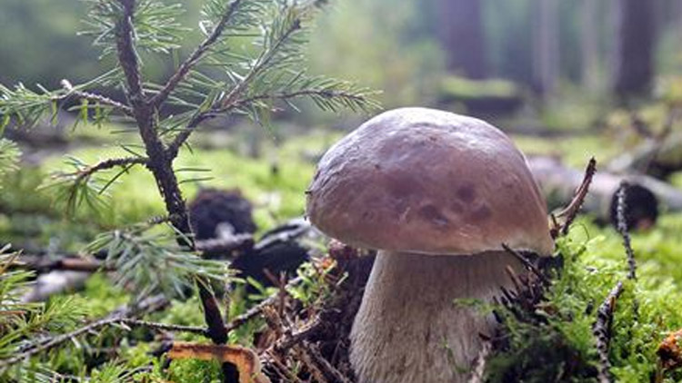 Sezóna začíná pomalu