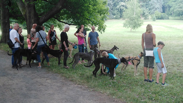 Zámecký park v Čechách pod Kosířem patřil o víkendu pejskům