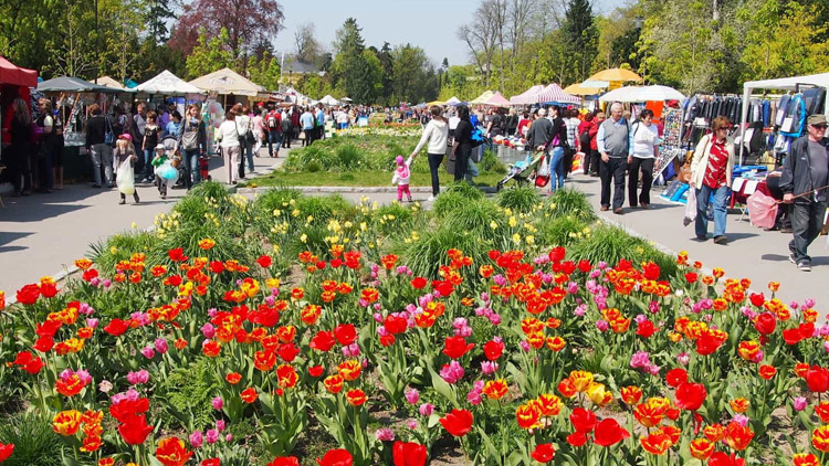 Poslední šance získat vstupenku na Floru