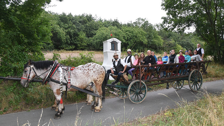 Muzeum láká na speciální prohlídky  o kočárech ve filmech a pohádkách 