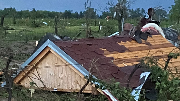 Prostějovská firma vymyslela web na pomoc vinařům. Zapojíte se?