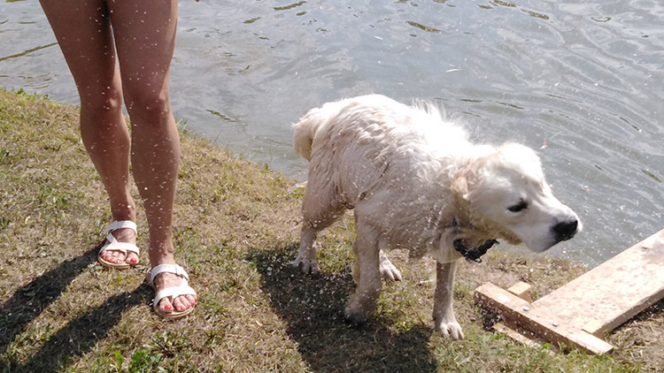Do vodičky už neee!
