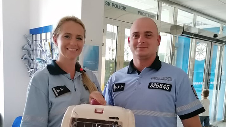 Kočce zemřel pán. Nového našla díky Mourkovi