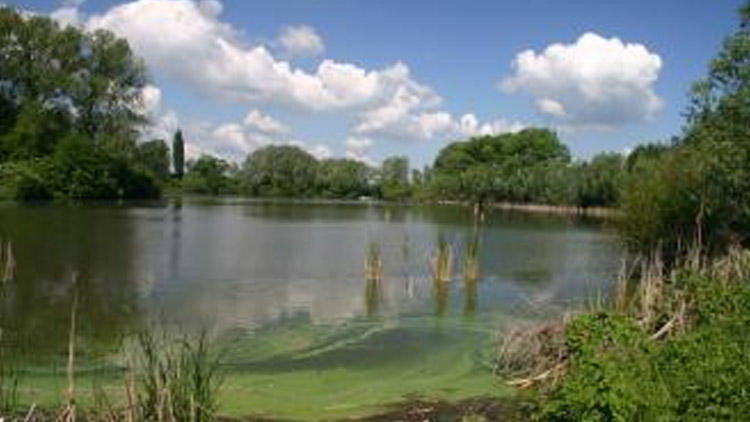 U rybníka se chystají opravy 