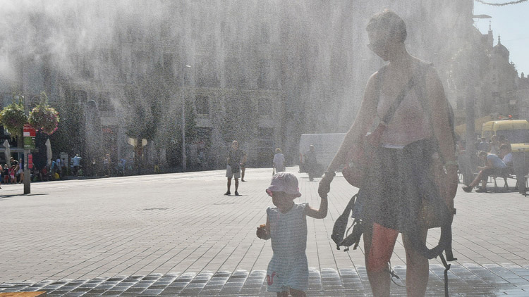 Mlžítka letos nebudou