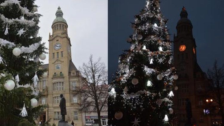 Již nyní hledáme vánoční strom