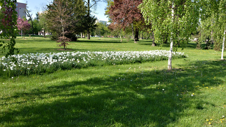 Zelený prstenec se už rýsuje. Alespoň na papíře
