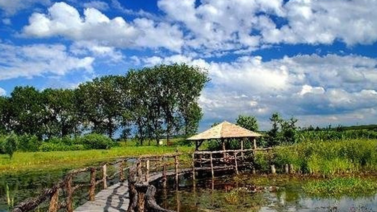 Mořice smění pozemky