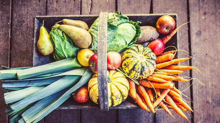 Podzimní zahrada, sklizeň, skladování a zpracovaní