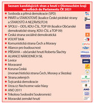 31 prehled stran volby