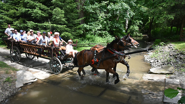 Václav Obr shání fotky prostějovských  pohřebních kočárů. Najde je na hodech?