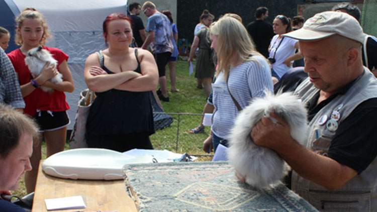 Výstava nejroztomilejší: V Plumlově se představí chlupáči