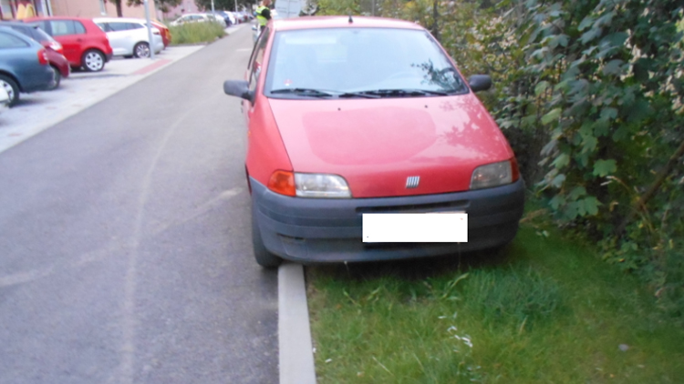 Neparkujte na trávě!